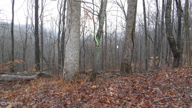 LOTS17 Savannah, Smithville, TN 37166 - photo 14