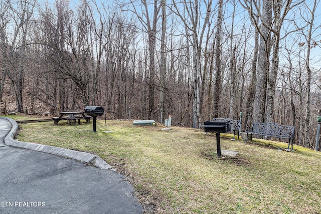 1130 Ski View Dr, Gatlinburg, TN 37738 - view of yard