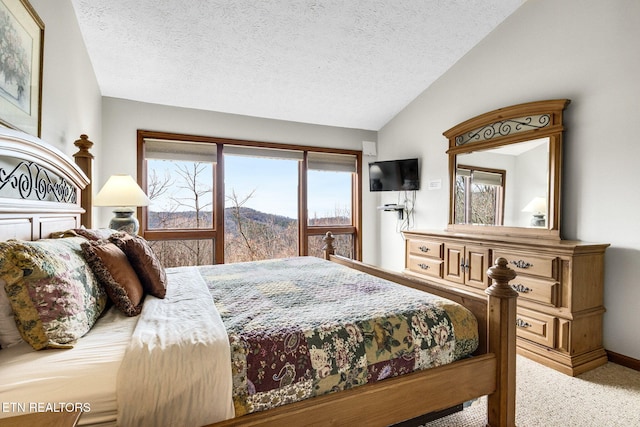 1130 Ski View Dr, Gatlinburg, TN 37738 - bedroom with lofted ceiling, a textured ceiling, and light colored carpet