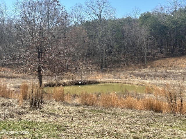 view of landscape featuring a water view