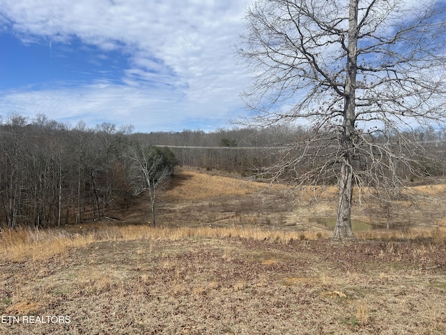 view of local wilderness