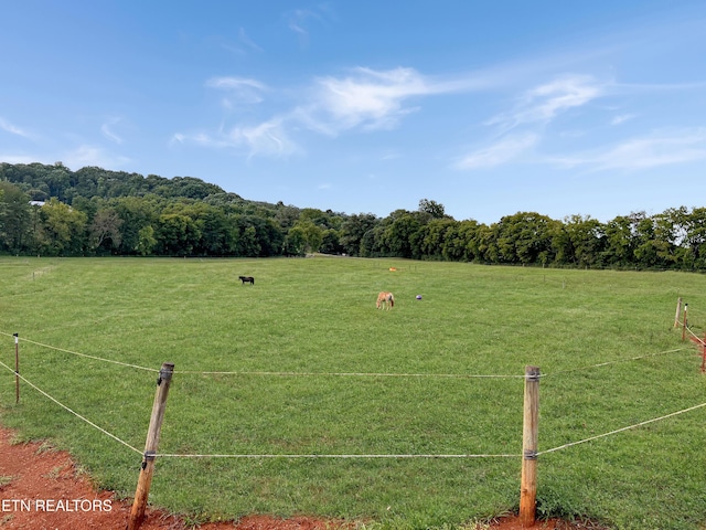 view of property's community featuring a lawn and a rural view