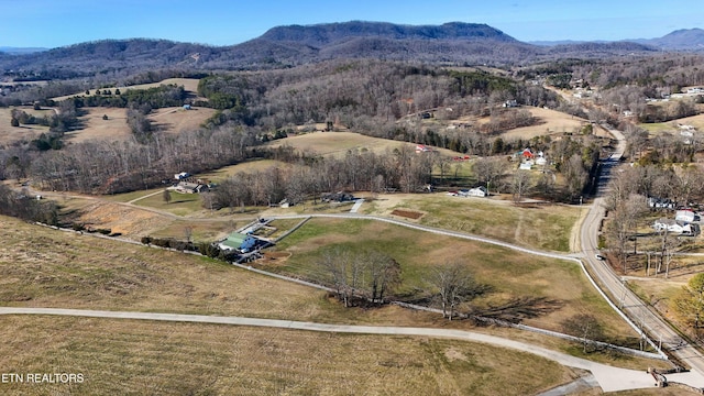 drone / aerial view with a rural view and a mountain view