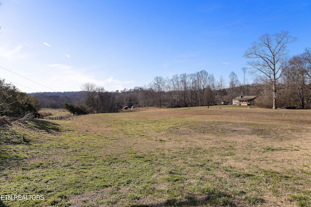 view of yard with a rural view