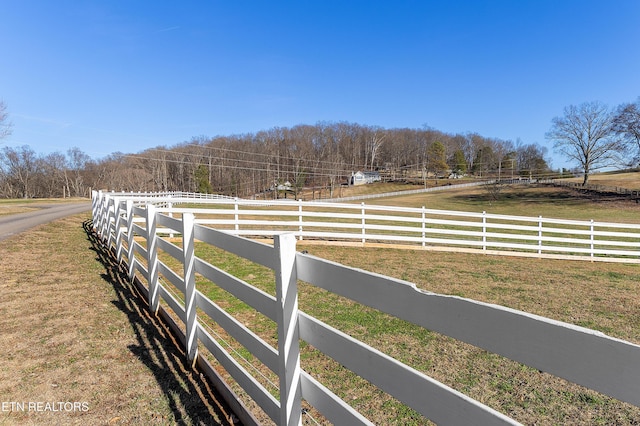 view of yard with a rural view