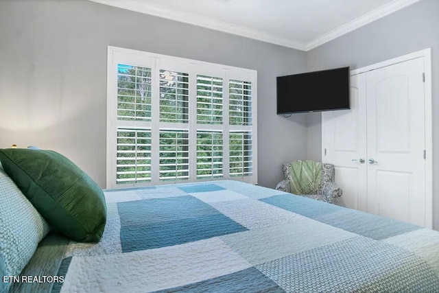 bedroom with crown molding and a closet