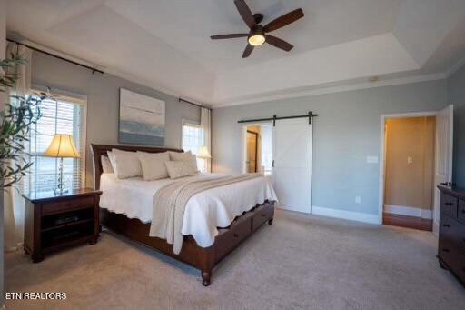 bedroom with multiple windows, light colored carpet, a barn door, and a raised ceiling