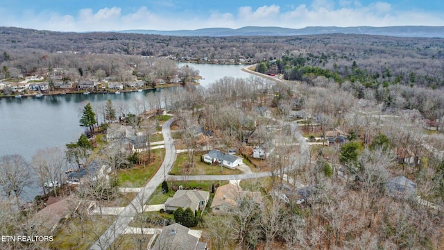 birds eye view of property featuring a water and mountain view