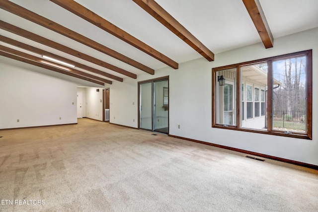 empty room with a wealth of natural light, beamed ceiling, visible vents, and light colored carpet