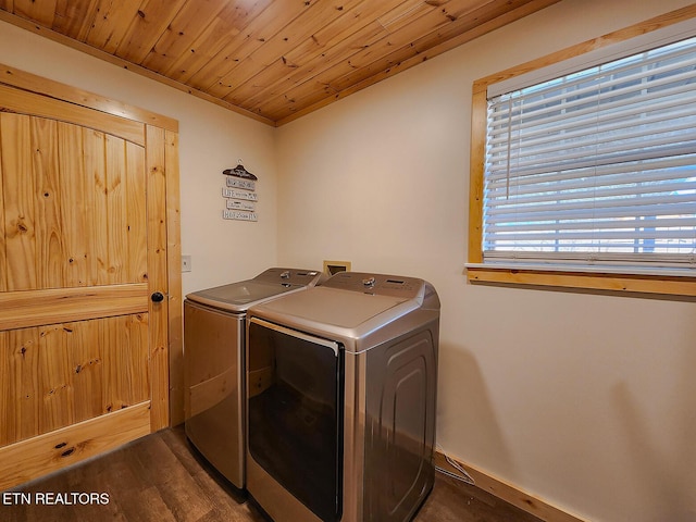 clothes washing area with dark wood-style floors, separate washer and dryer, wooden ceiling, and laundry area