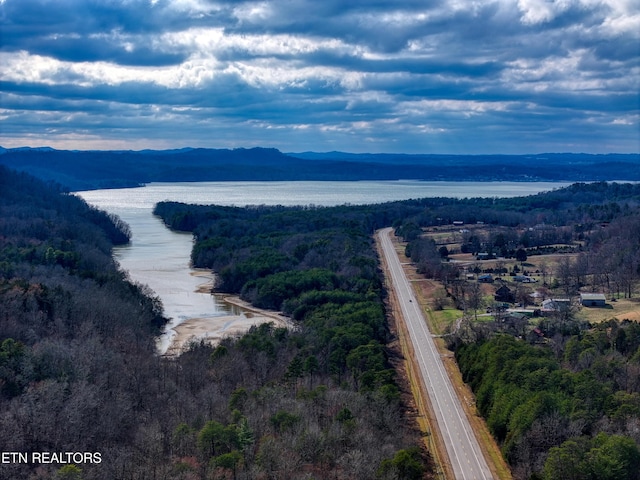 drone / aerial view with a water and mountain view