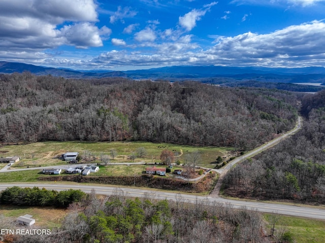 birds eye view of property featuring a mountain view