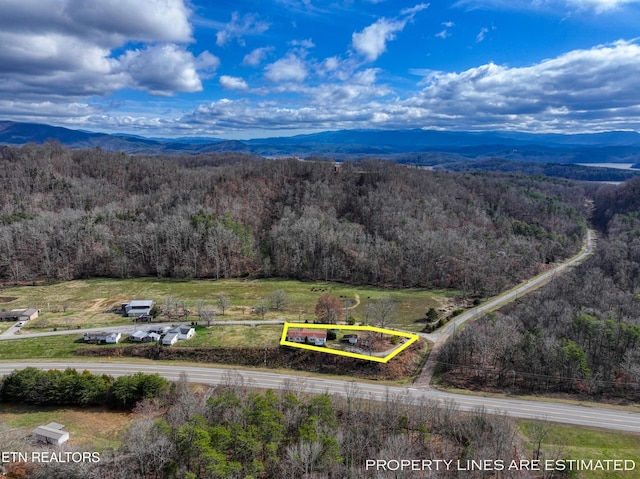 bird's eye view with a mountain view