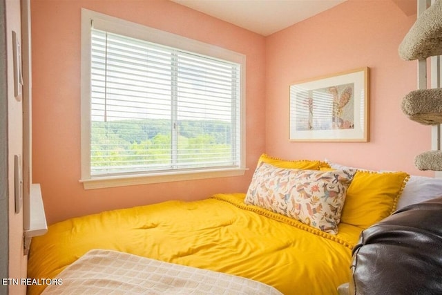 bedroom with multiple windows