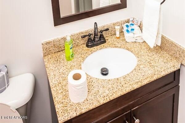 bathroom with toilet and vanity