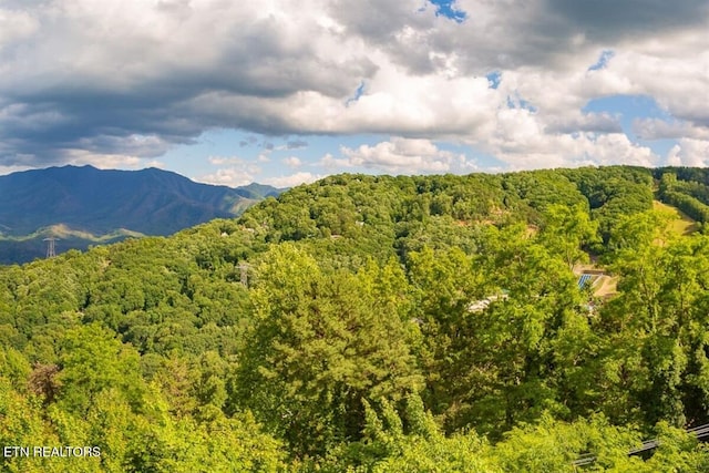 mountain view featuring a view of trees