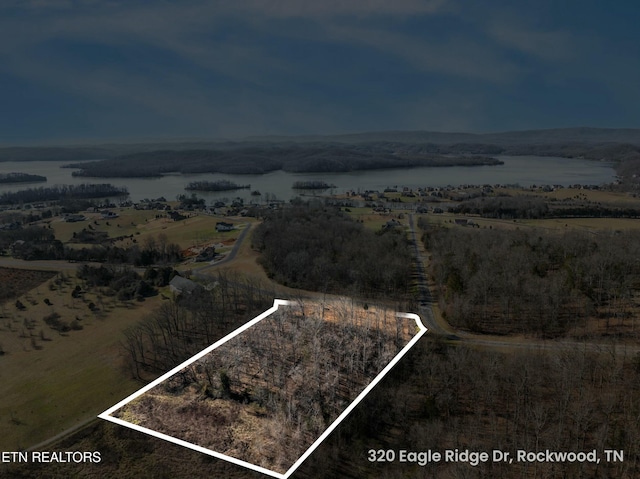 320 Eagle Ridge Dr, Rockwood TN, 37854 land for sale