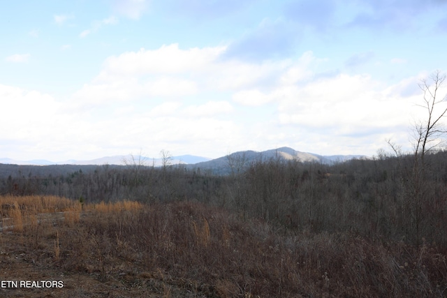 property view of mountains