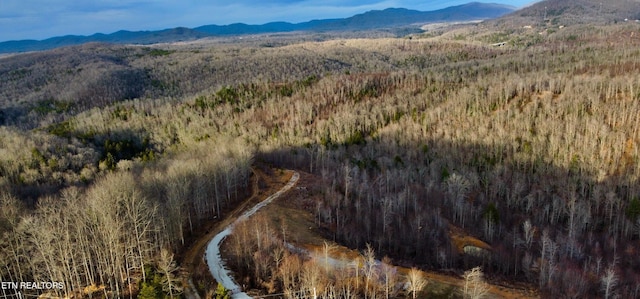 aerial view featuring a mountain view