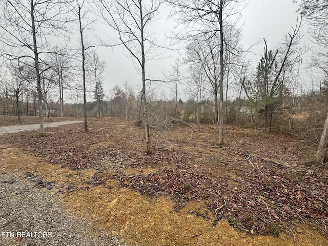 7717 Sayne Ln, Knoxville, TN 37920 - photo 5