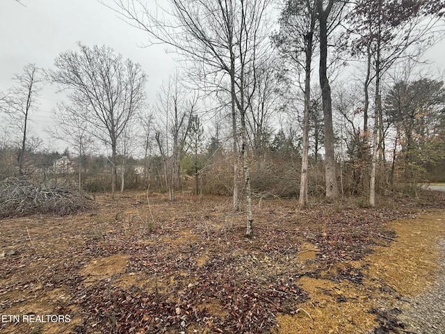 7717 Sayne Ln, Knoxville, TN 37920 - photo 7