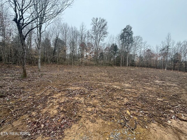 7717 Sayne Ln, Knoxville, TN 37920 - photo 8