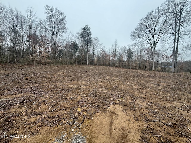 7717 Sayne Ln, Knoxville, TN 37920 - photo 9