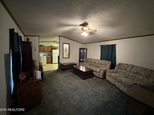 living area featuring carpet floors, ornamental molding, vaulted ceiling, a textured ceiling, and washer and dryer