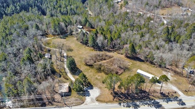 bird's eye view with a view of trees