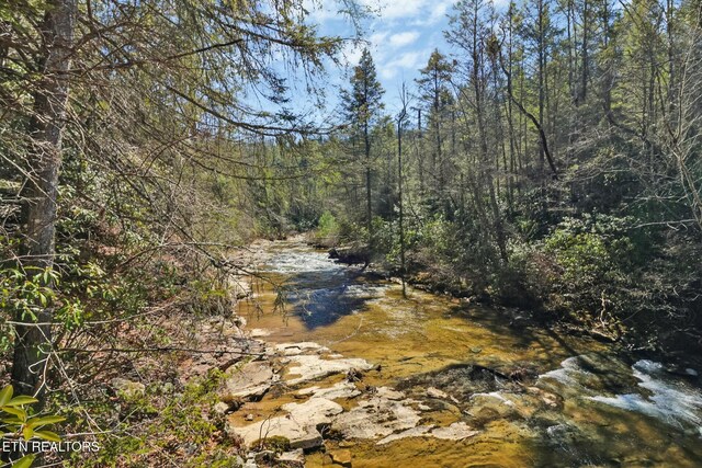 view of nature featuring a forest view