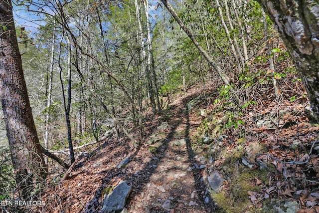 view of local wilderness featuring a forest view