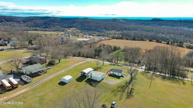 aerial view