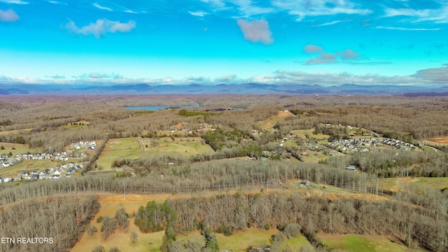 drone / aerial view featuring a mountain view