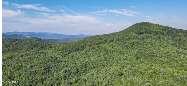 111AC Edwards Rd, Tellico Plains, TN 37385