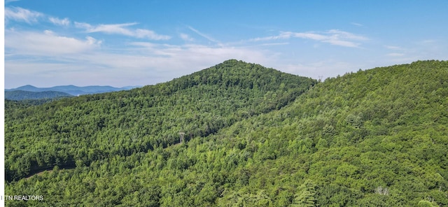 111AC Edwards Rd, Tellico Plains, TN 37385
