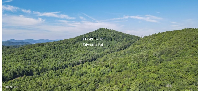 111AC Edwards Rd, Tellico Plains, TN 37385