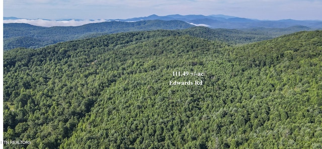 111AC Edwards Rd, Tellico Plains, TN 37385