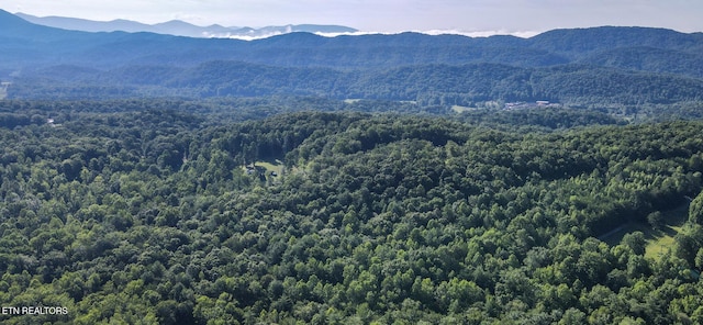 111AC Edwards Rd, Tellico Plains, TN 37385