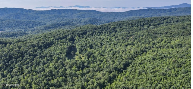 111AC Edwards Rd, Tellico Plains, TN 37385