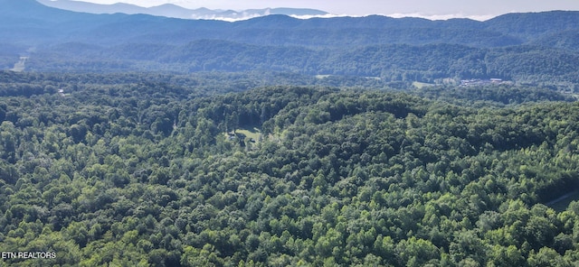 111AC Edwards Rd, Tellico Plains, TN 37385