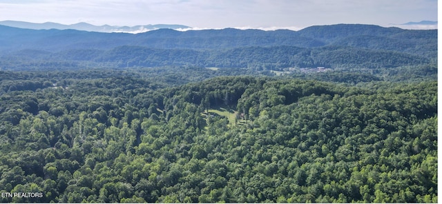 111AC Edwards Rd, Tellico Plains, TN 37385