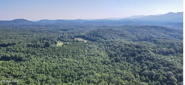 111AC Edwards Rd, Tellico Plains, TN 37385