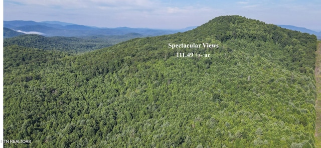 111AC Edwards Rd, Tellico Plains, TN 37385