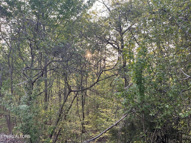111AC Edwards Rd, Tellico Plains, TN 37385
