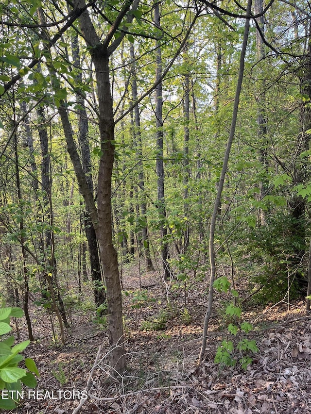 111AC Edwards Rd, Tellico Plains, TN 37385