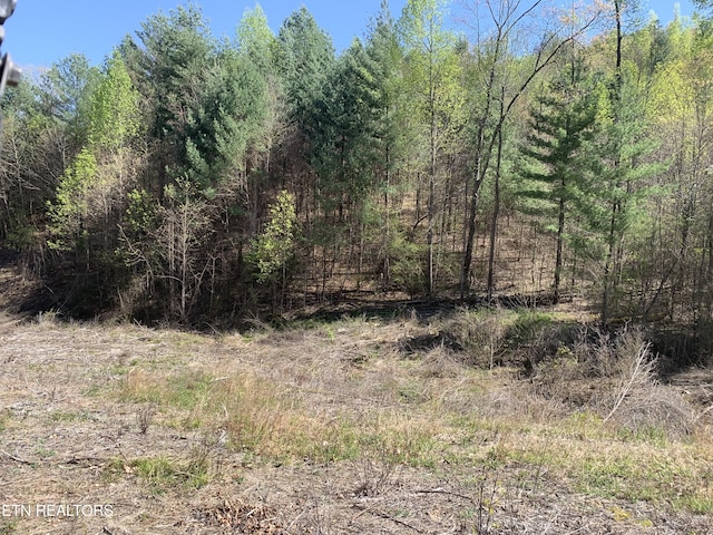 111AC Edwards Rd, Tellico Plains, TN 37385