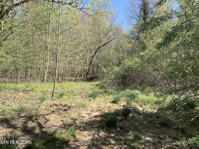 111AC Edwards Rd, Tellico Plains, TN 37385