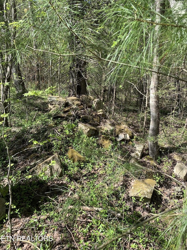 111AC Edwards Rd, Tellico Plains, TN 37385