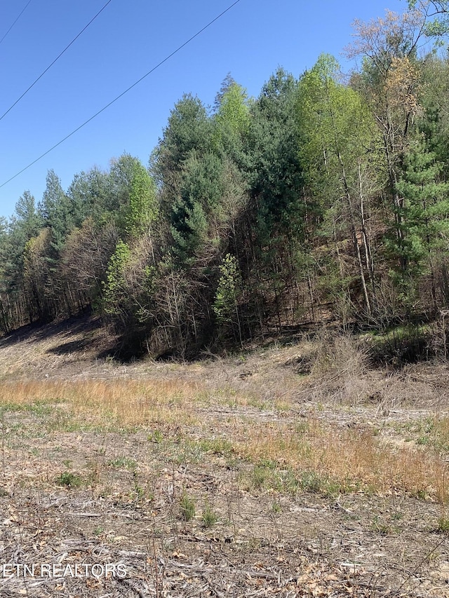 111AC Edwards Rd, Tellico Plains, TN 37385