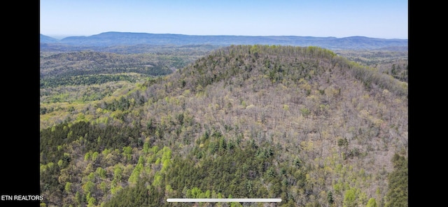 111AC Edwards Rd, Tellico Plains, TN 37385